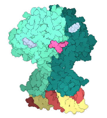 De Dim-pocket is in roze.