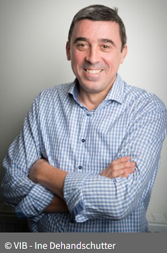 Professor Peter Carmeliet